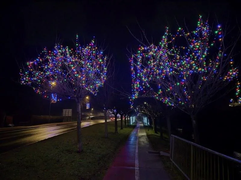zagorje_praznicna_razsvetljava_drevored_japonske_cesnje_1_2025_1280x960_1024x768_800x600