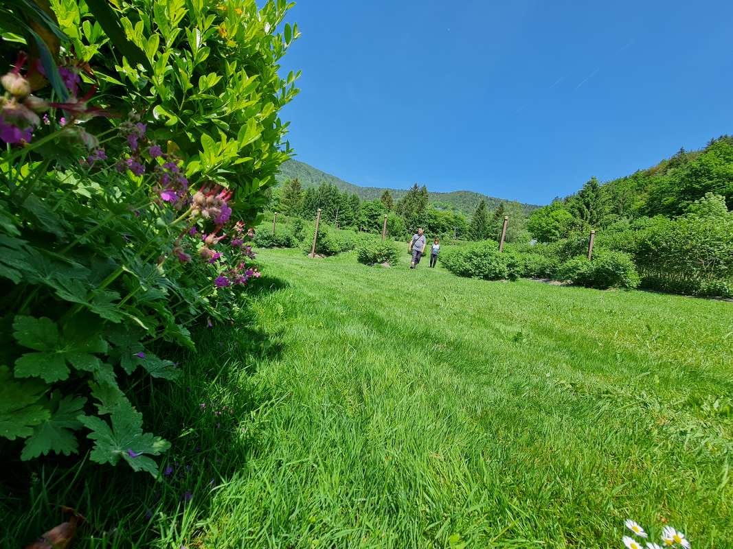 Soncna_posest_gabrsko- (5)_1067x800 Soncna_posest_gabrsko- (10)_1067x800