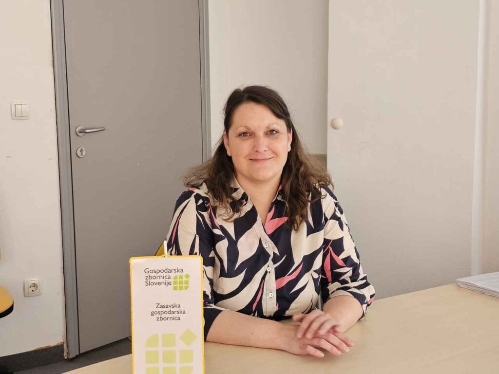 Bo zasavska regija kos izzivom, ki prihajajo?