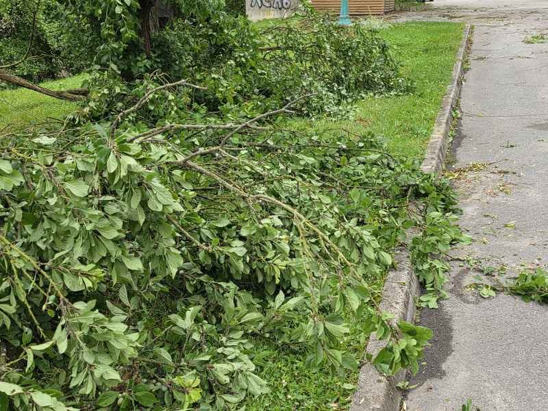 podrta_drevesa_neurje_vreme_veje_na_cesti_Hrastnik_maj_2026 (1)_800x600