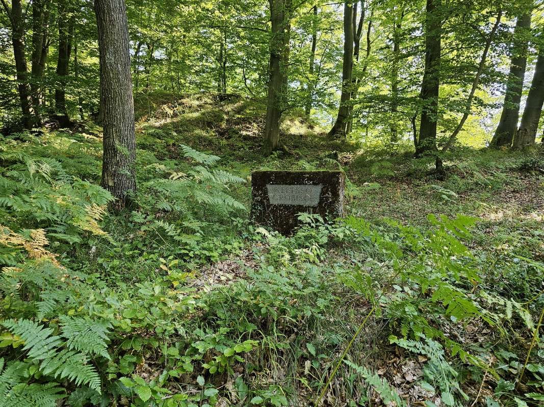 Kovk_najdisce_energijske_tocke_82026 (113)_1067x800 Kovk_najdisce_energijske_tocke