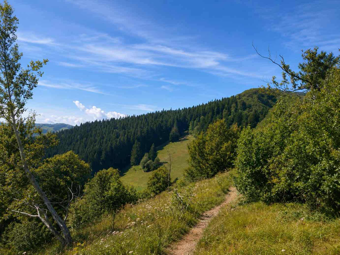 Tabor_brez_telefonov_Sveta_Planina