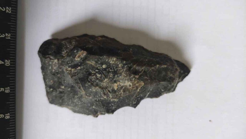 paleolitska_konica_arheoloska_izkopavanja_Litija_julij_2026_1280x721-foto_Barbara_Hofman