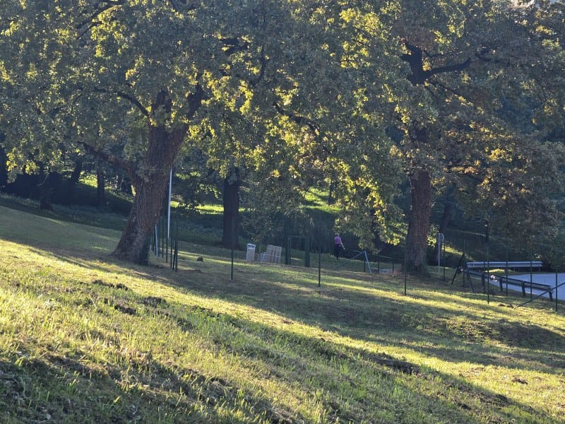 pasje_igrisce_Hrastnik_park_9_2026 (2)_800x600