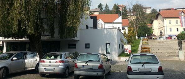 javni razpis za delovno mesto direktorja (m/ž)javnega zavoda Mladinski center Trbovlje.