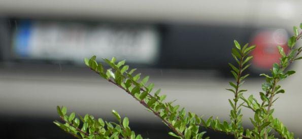 Pobegnil, a so ga izsledili