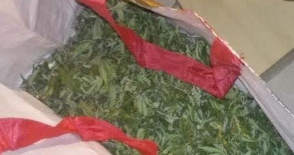 Odkrili 2 kg konoplje v Trbovljah