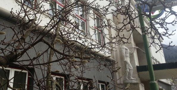 Vroč stol direktorice občinske uprave