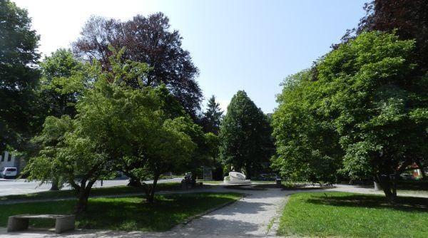 20.000 delovnih mest v socialnem podjetništvu