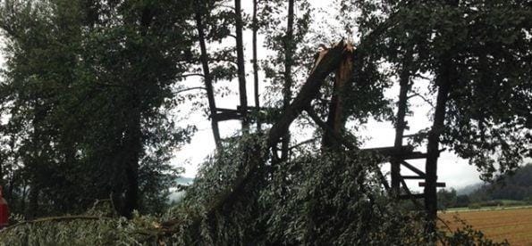 Podrta drevesa odstranili gasilci