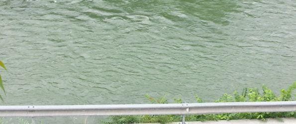 Sava zjutraj poplavila cesto