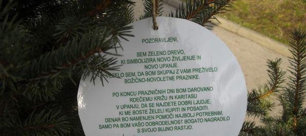 Posvojili so jih