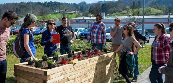 V Zagorju postavili prve visoke grede