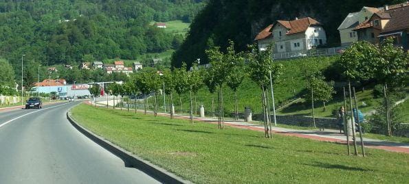 Je res pes poškodoval otroka v vozičku?