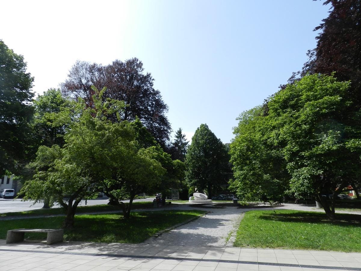 V parku gliva nevarna za mimoidoče