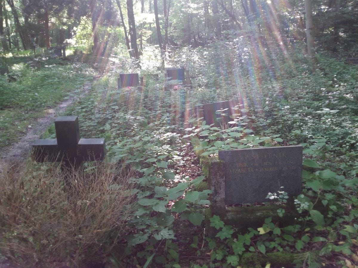 FOTO: Skrit v gozdu, skoraj pozabljen