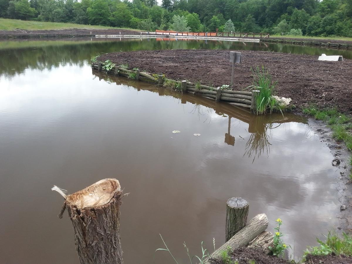 Pogin rib v zbiralniku RTH?