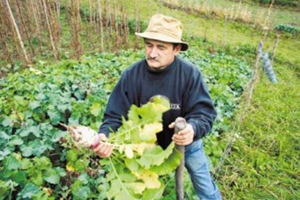 Morilcu Bajdeta skoraj 15 let zapora