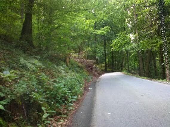 Krajani s prstom na napačnega