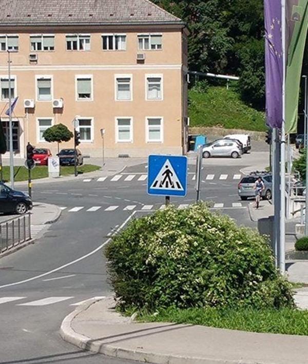 Grm čez polovico pločnika