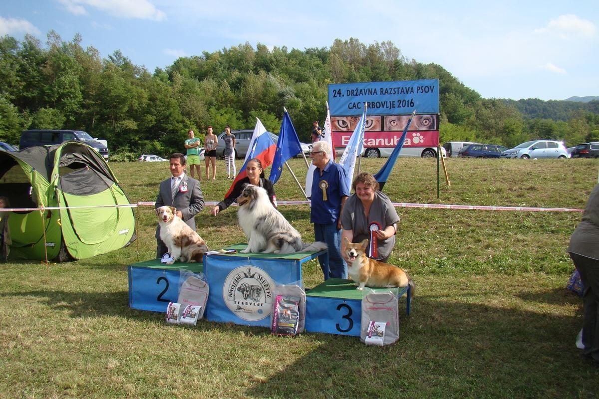 267 lepotcev se je predstavilo