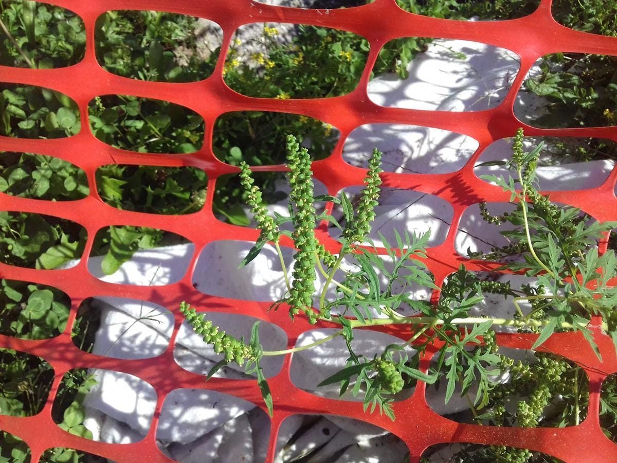 V bolnišnici so takoj ukrepali