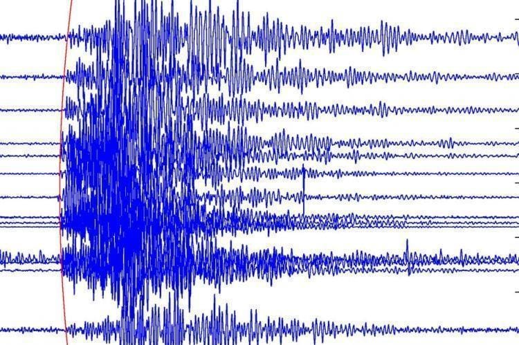 Tresla so se tla v Radečah
