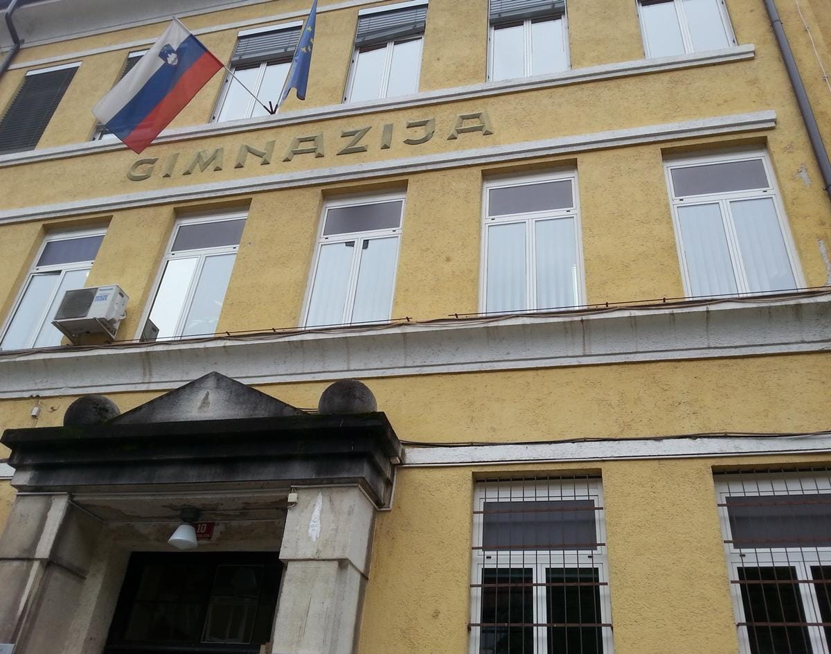 EVS prostovoljka Anna v GESŠ Trbovlje