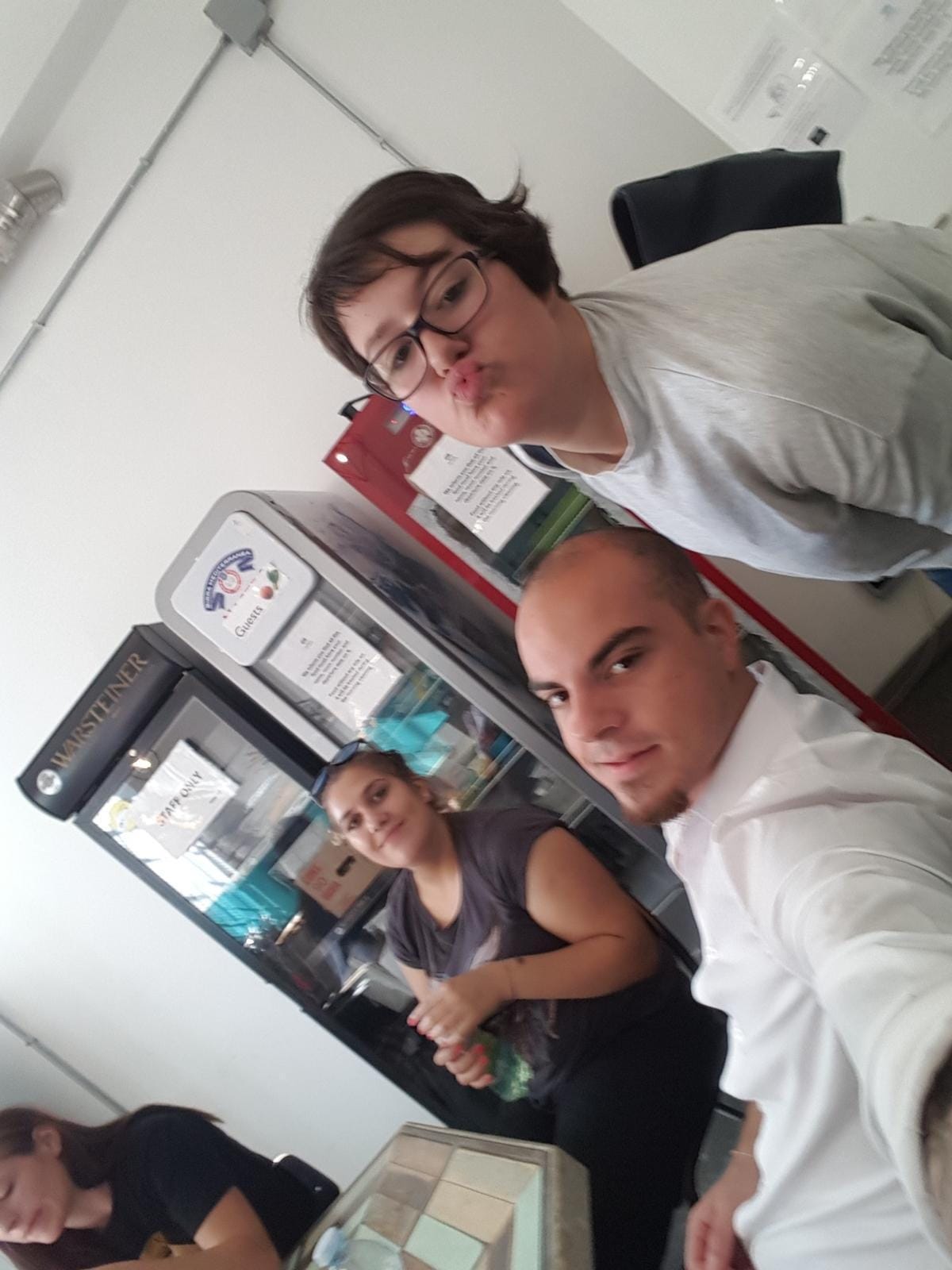 Mednarodni projekt: Milano 2016