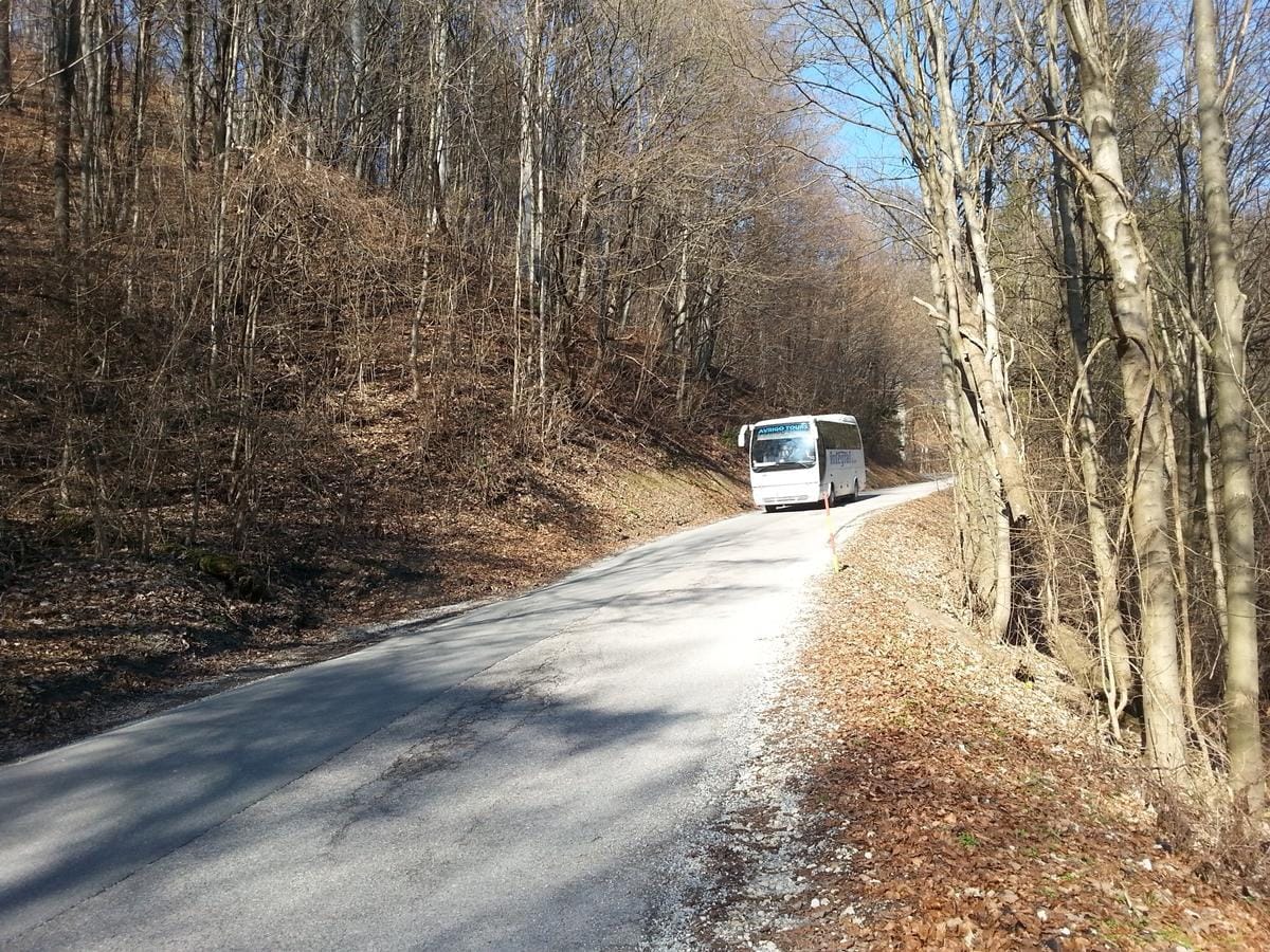 Kdo bo vozil šolarje?