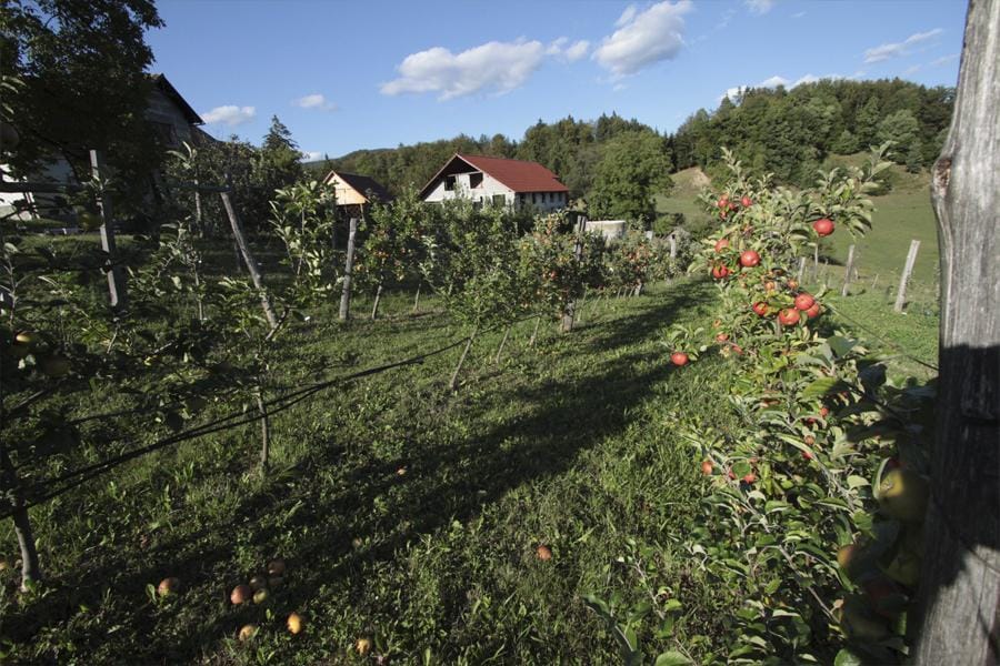 Na voljo 419.000 evrov za lokalni razvoj Zasavja