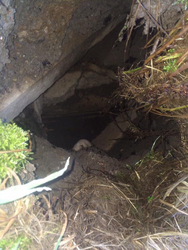 V Evroparku se je udrla zemlja