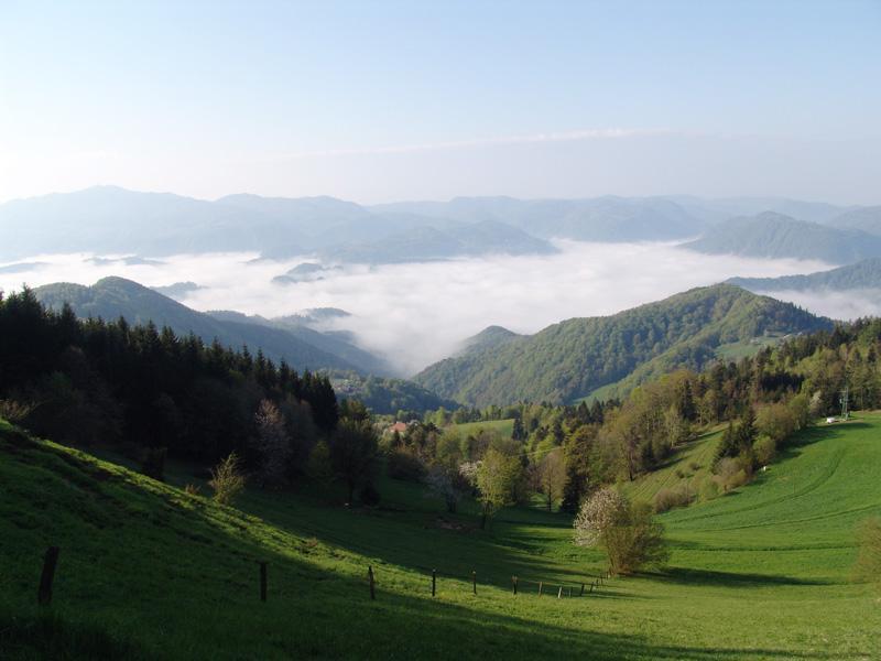 Pripravljajo projekt za Sveto Planino