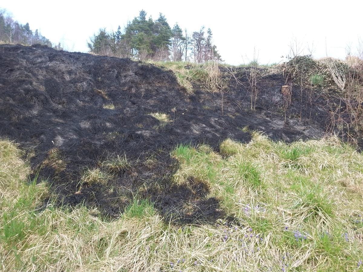 Požiganje prepovedano!