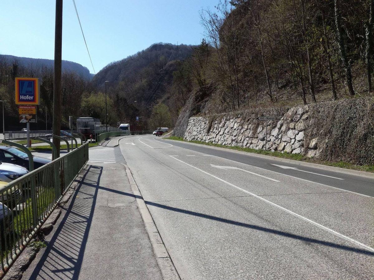 Kuža išče lastnika