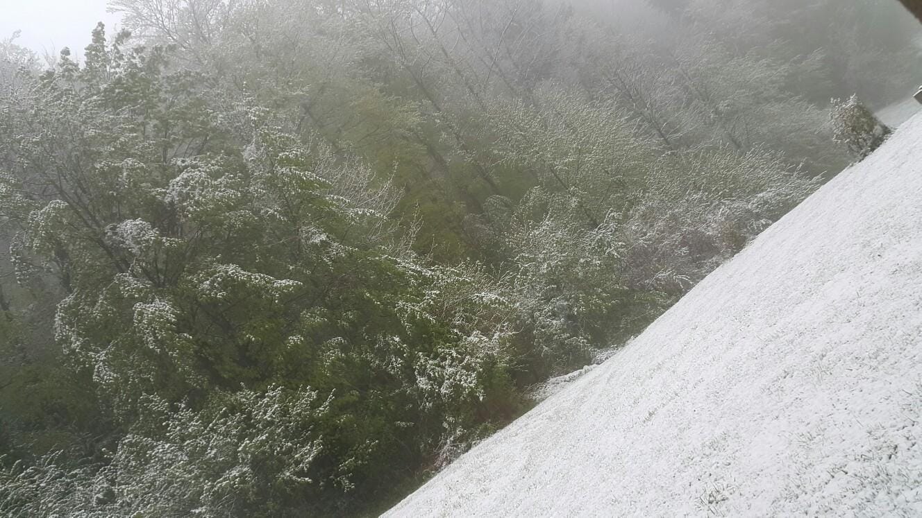 FOTO: Ste se tudi vi zbudili v zasneženo jutro?