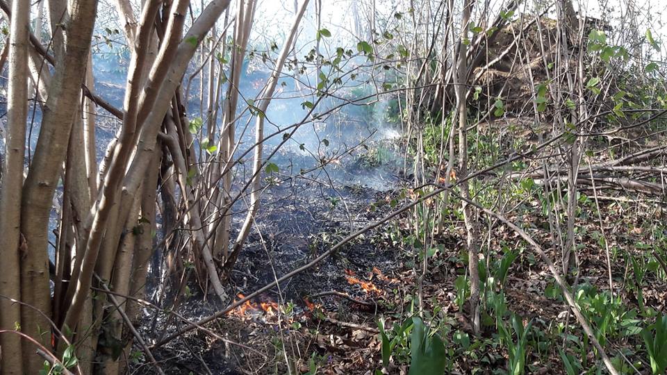 Oglobijo vas lahko za 600 evrov