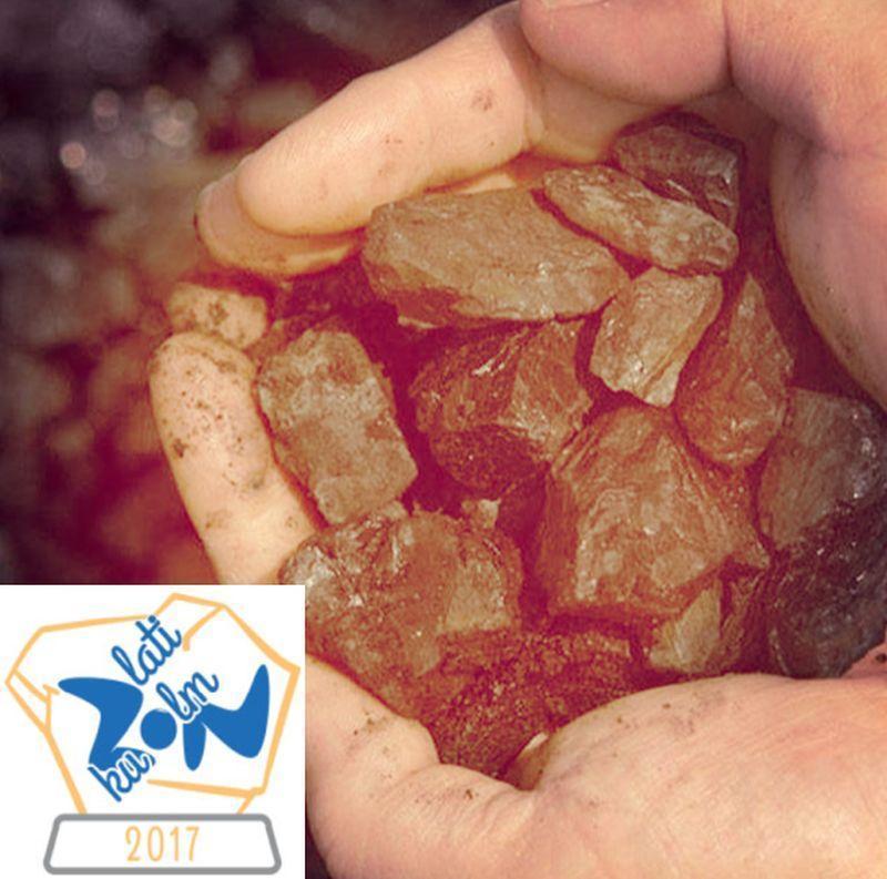 Kdo bo dobil Zlati kuolm 2017?