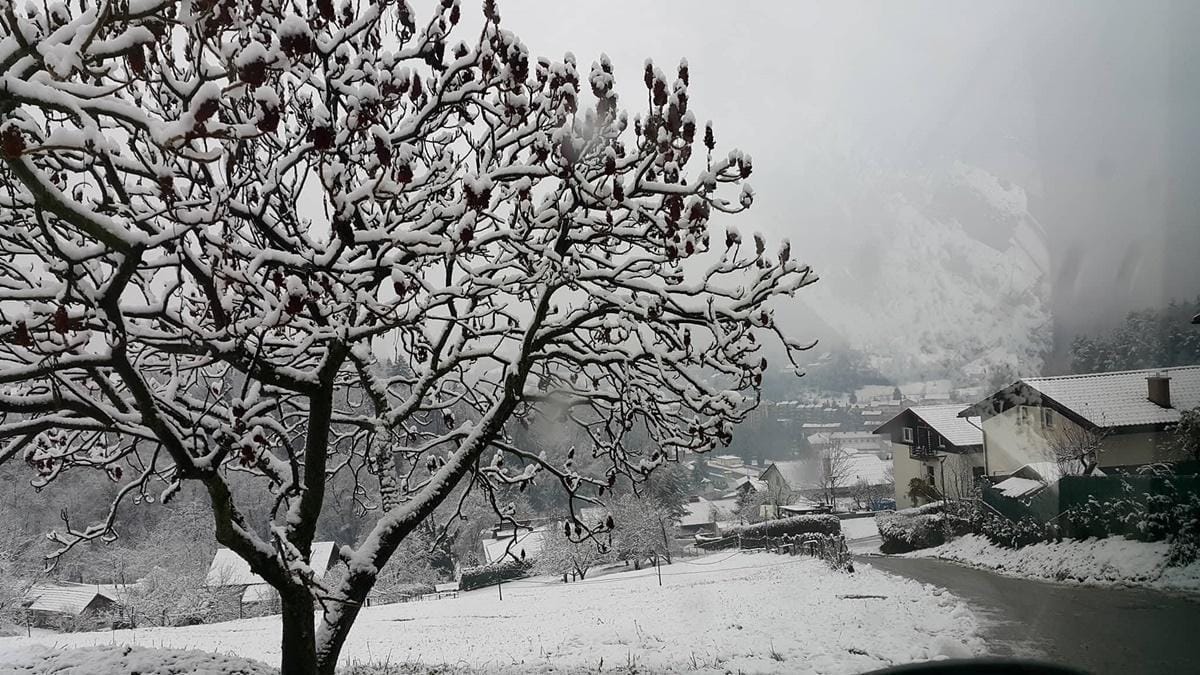 Koliko škode od snega, poplav in vetra? Popisujejo škodo!