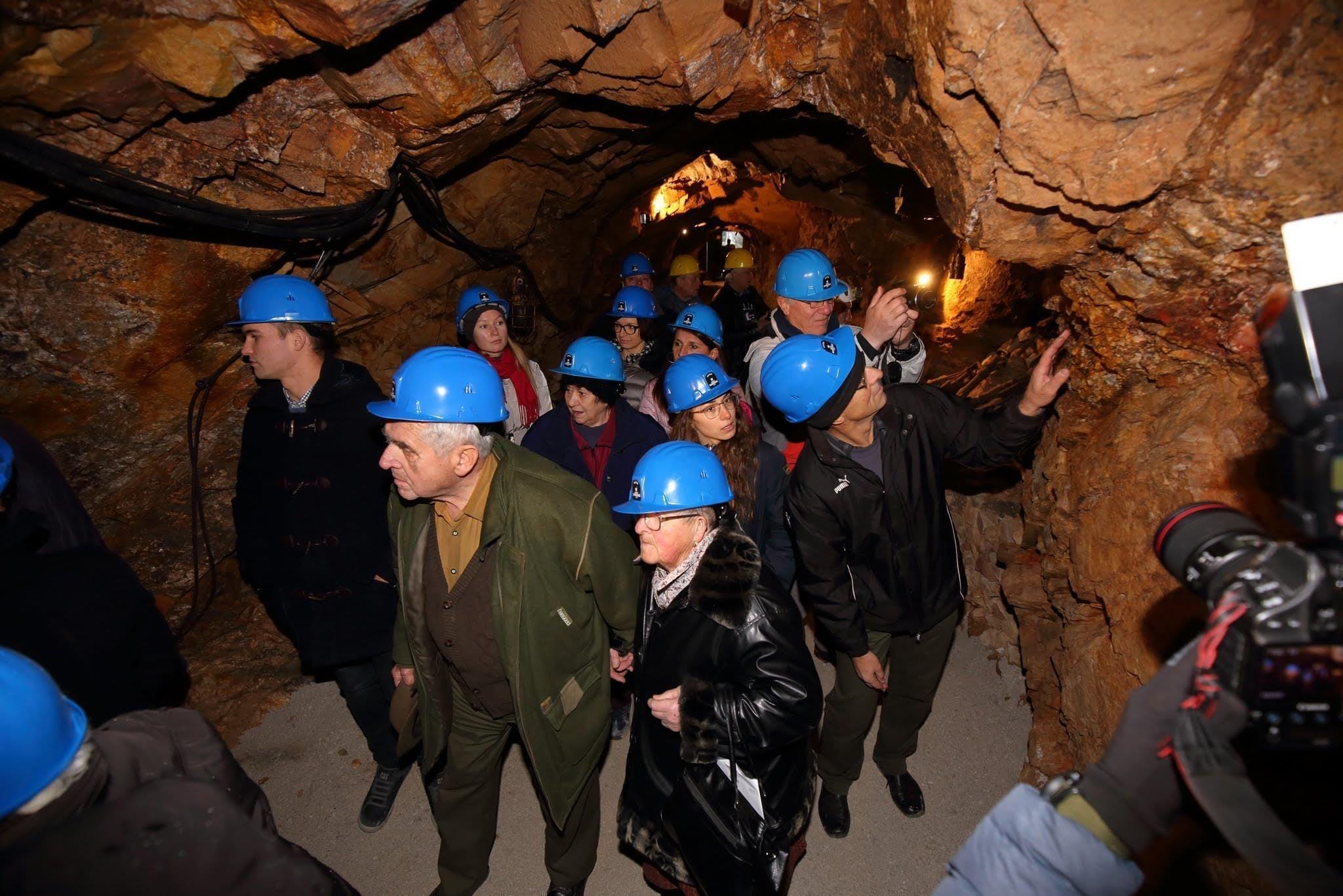 Ogledi decembra brezplačni za vse