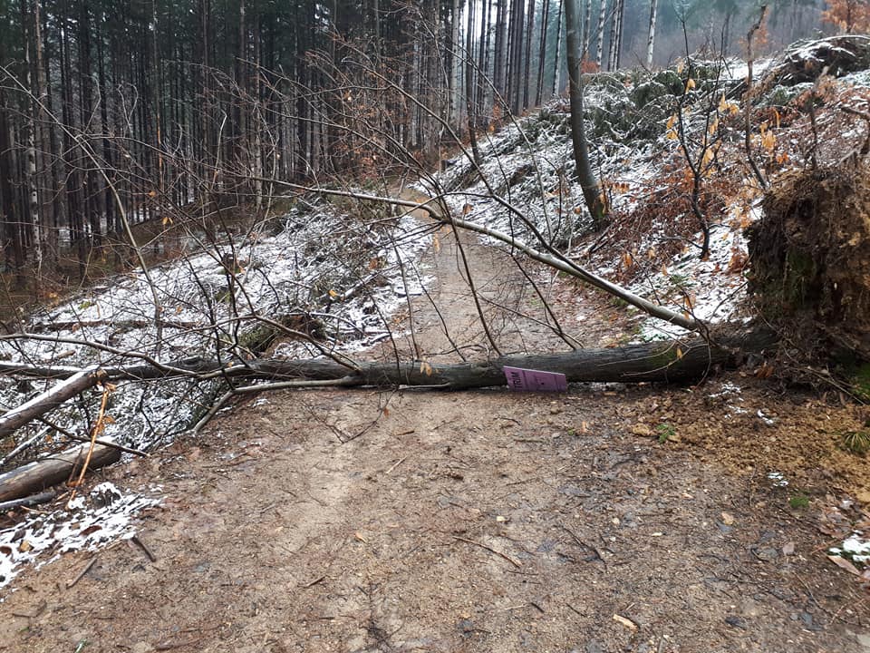 Velika nevarnost, ne hodite na trim stezo!