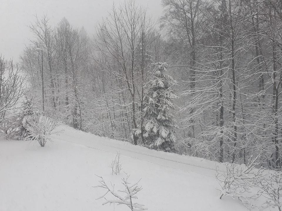 FOTO: Zimska pravljica ali 'nebodigatreba'?