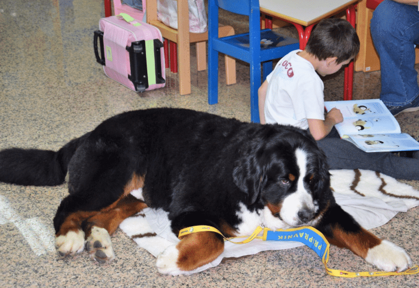 Linda in Yuma ne popravljata in ne kritizirata