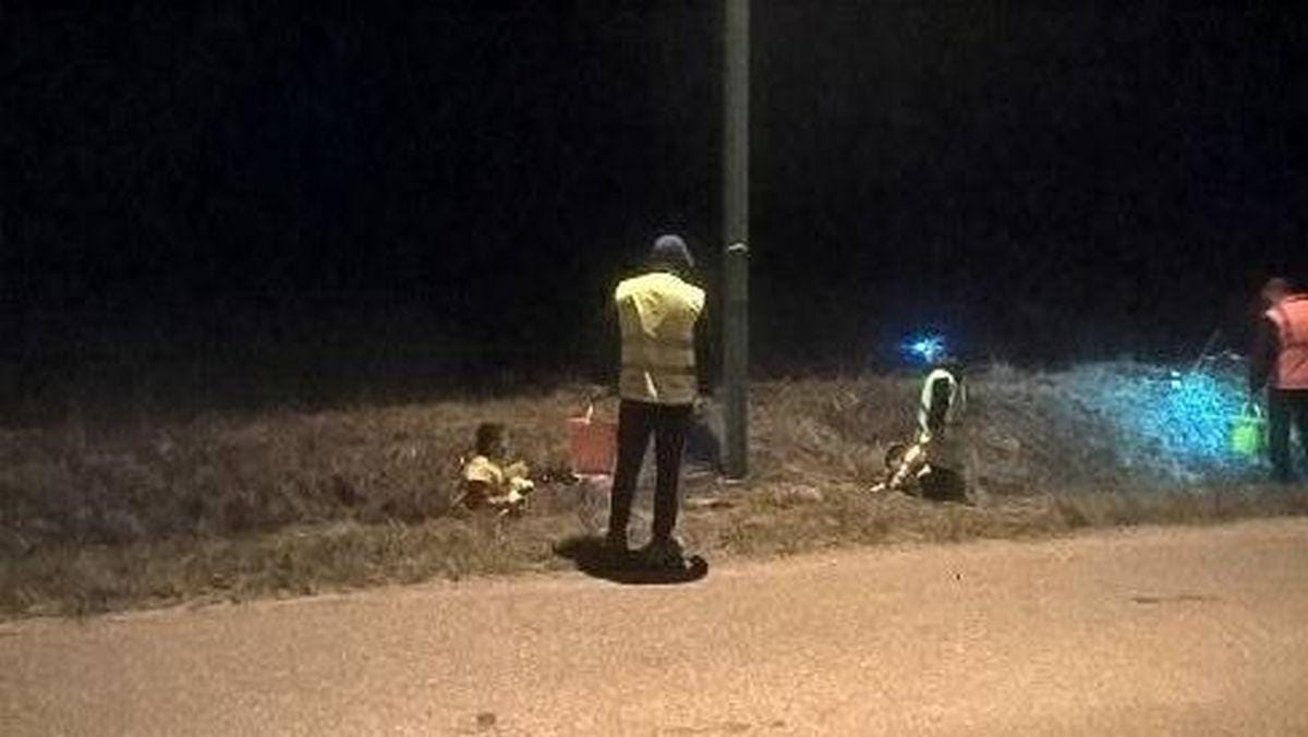 Ko se otopli, se žabe selijo iz blata v jezero