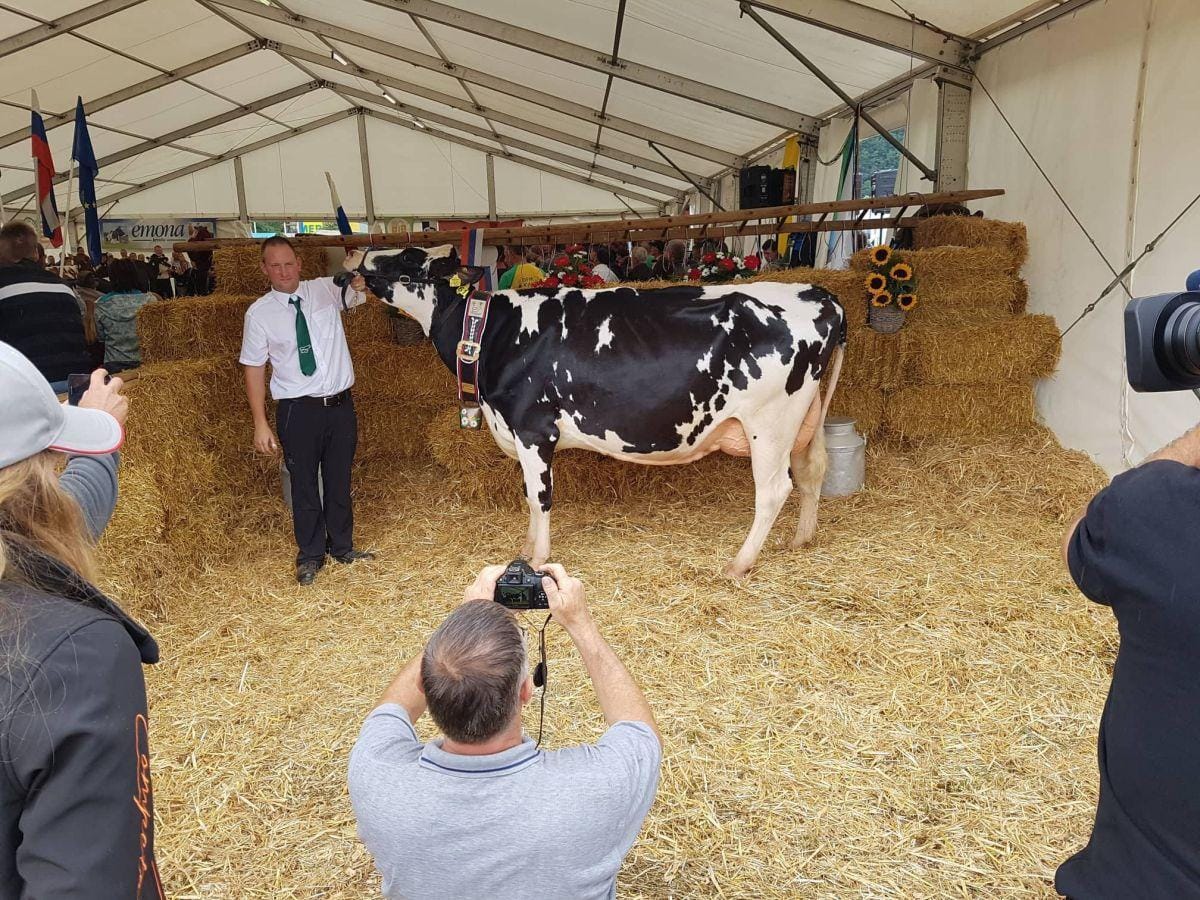 »Katera najlepša v deželi je tej?«