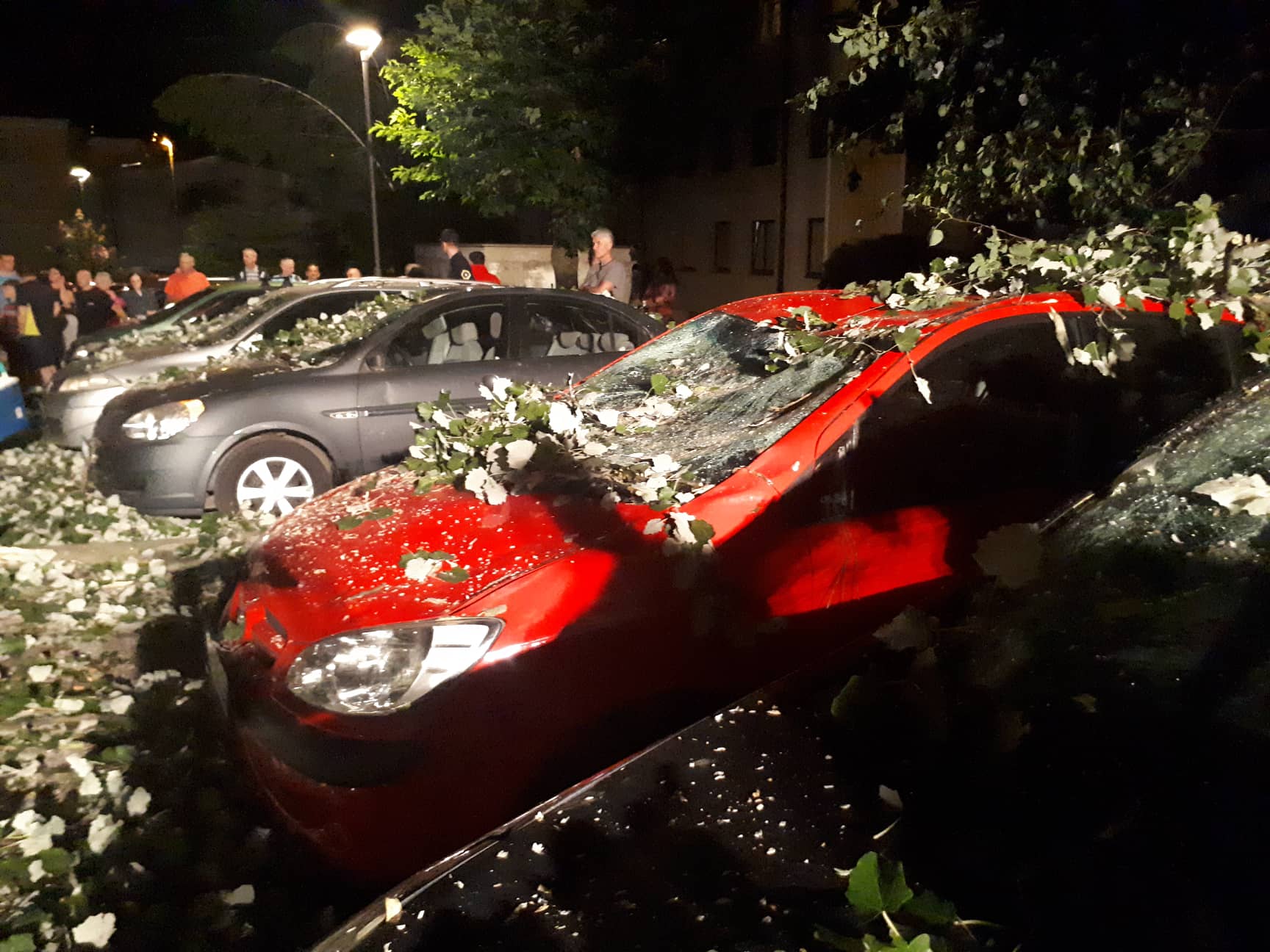 Odškodnina za škodo od podrtega drevesa