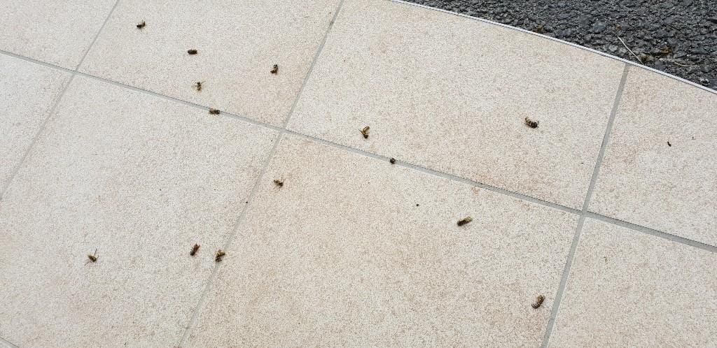 Zasavje zajela invazija nadležnih os!