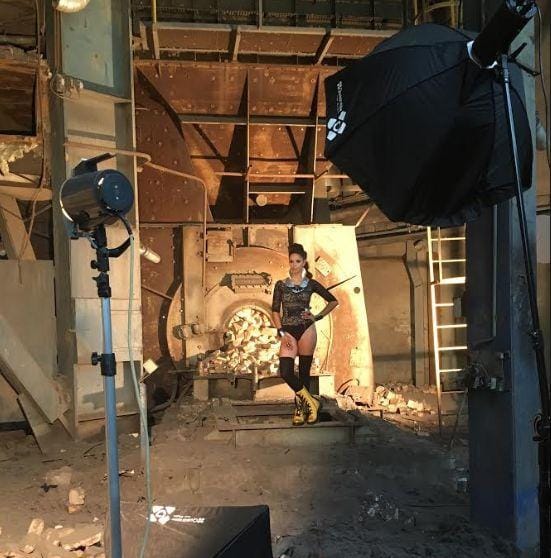 Misice pozirale v Termoelektrarni Trbovlje