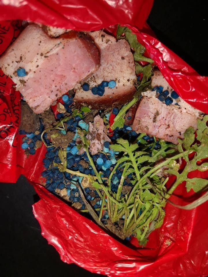 KATASTROFA: Nastavljajo smrtonosen strup za polže v slanino!