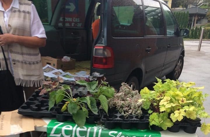 NEVERJETNO: Za brezplačno sadiko postaneš kandidat za svetnika, pa sploh ne veš?